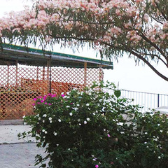 Отель Гамачок у моря, Крым