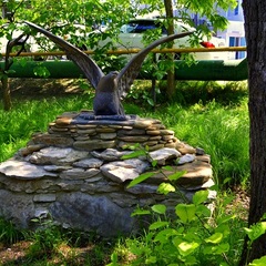 Гостевой дом София на Медовой, Сочи, Краснодарский край