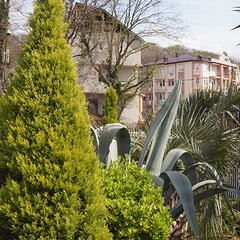 Гостевой дом София на Медовой, Сочи, Краснодарский край