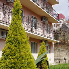 Гостевой дом София на Медовой, Сочи, Краснодарский край