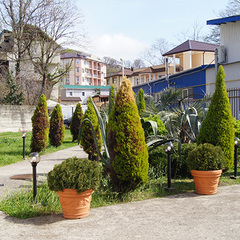 Гостевой дом София на Медовой, Сочи, Краснодарский край