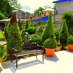 Гостевой дом София на Медовой, Сочи, Краснодарский край