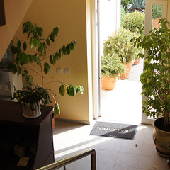 Гостевой дом София на Медовой, Сочи, Краснодарский край