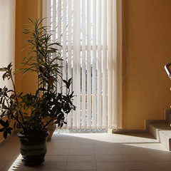 Гостевой дом София на Медовой, Сочи, Краснодарский край