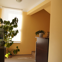 Гостевой дом София на Медовой, Сочи, Краснодарский край