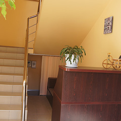 Гостевой дом София на Медовой, Сочи, Краснодарский край