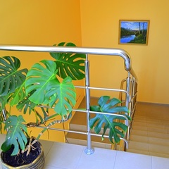 Гостевой дом София на Медовой, Сочи, Краснодарский край