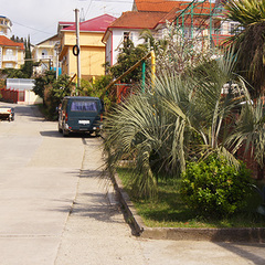 Гостевой дом София на Медовой, Сочи, Краснодарский край