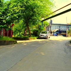 Гостевой дом София на Медовой, Сочи, Краснодарский край