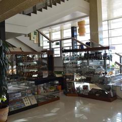 Гостиница А-отель Амурский залив, Владивосток, Приморский край