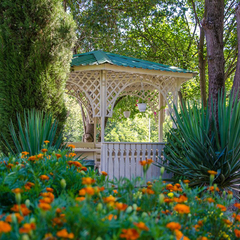 Пансионат Ай-Лия, Крым