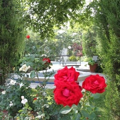 Пансионат Солнечный, Николаевка, Крым