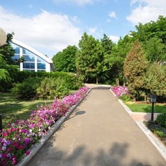 Пансионат Солнечный, Николаевка, Крым