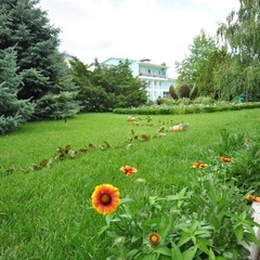 Пансионат Солнечный, Николаевка, Крым