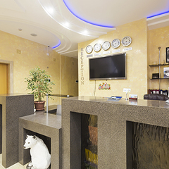 Отель Эль-Отель, Сочи, Краснодарский край