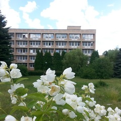 Отель Orchestra OKA Spa Resort , Московская область
