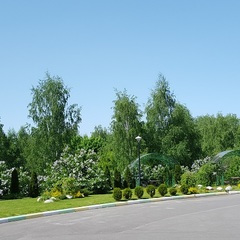 Отель Orchestra OKA Spa Resort , Московская область