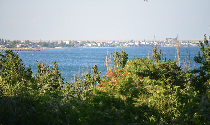 Вид на Феоодсийский залив с 5 этажа