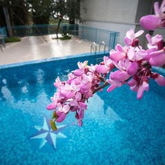 Гостевой дом Вилла Эдем, Крым