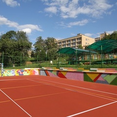 Отель Orchestra OKA Spa Resort , Московская область
