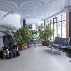 Отель Orchestra OKA Spa Resort , Московская область