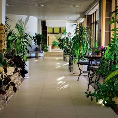 Отель Orchestra OKA Spa Resort , Московская область