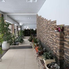 Отель Orchestra OKA Spa Resort , Московская область
