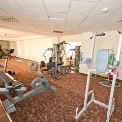 Отель Orchestra OKA Spa Resort , Московская область