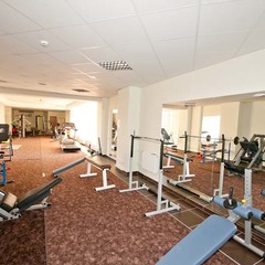 Отель Orchestra OKA Spa Resort , Московская область