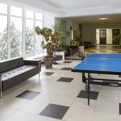 Отель Orchestra OKA Spa Resort , Московская область