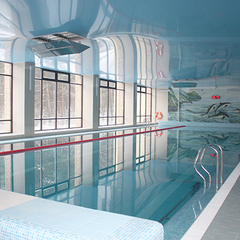 Отель Orchestra OKA Spa Resort , Московская область