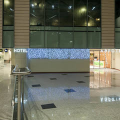 Гостиница Аэротель Экспресс, Москва, Московская область