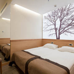 Гостиница Аэротель Экспресс, Москва, Московская область