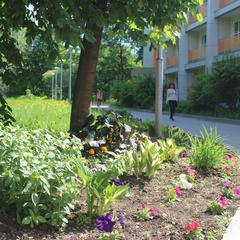 Санаторий Боровичский, Новгородская область