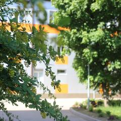 Санаторий Боровичский, Новгородская область