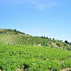 Вилла Аннигора, Алушта, Крым