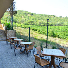 Вилла Аннигора, Алушта, Крым