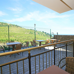 Вилла Аннигора, Алушта, Крым