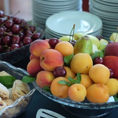 Пансионат Гринцовский, Крым