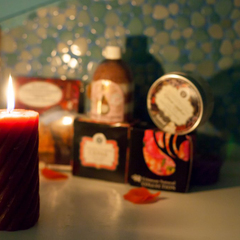 Пансионат Гринцовский, Крым