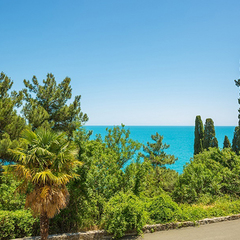 Гостевой дом Совиньон, Алушта, Крым