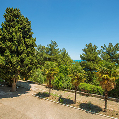 Гостевой дом Совиньон, Алушта, Крым