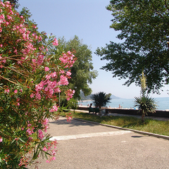 Санаторий Лазаревское, Лазаревское, Краснодарский край