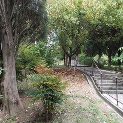 Санаторий Лазаревское, Лазаревское, Краснодарский край