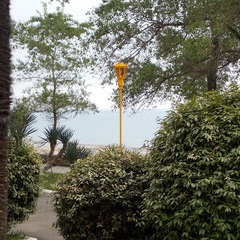 Санаторий Лазаревское, Лазаревское, Краснодарский край