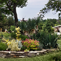 Отель Alean Family Resort & SPA Biarittz, Геленджик, Краснодарский край