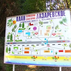 Санаторий Лазаревское, Лазаревское, Краснодарский край