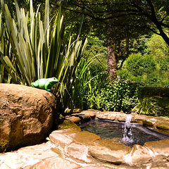 Отель Alean Family Resort & SPA Sputnik 4*, Сочи, Краснодарский край