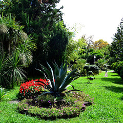 Отель Alean Family Resort & SPA Sputnik 4*, Сочи, Краснодарский край