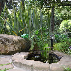 Отель Alean Family Resort & SPA Sputnik 4*, Сочи, Краснодарский край